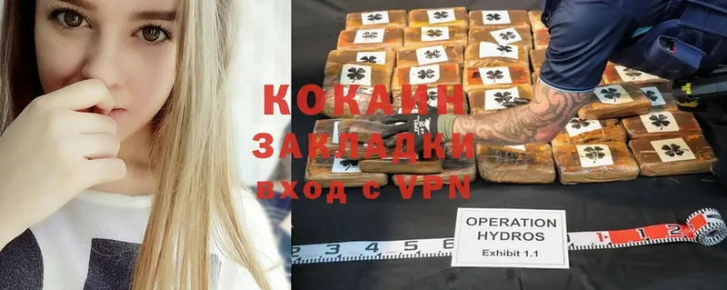 COCAIN FishScale  нарко площадка официальный сайт  Петровск-Забайкальский 