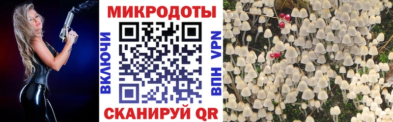 Псилоцибиновые грибы GOLDEN TEACHER  как найти закладки  Петровск-Забайкальский 